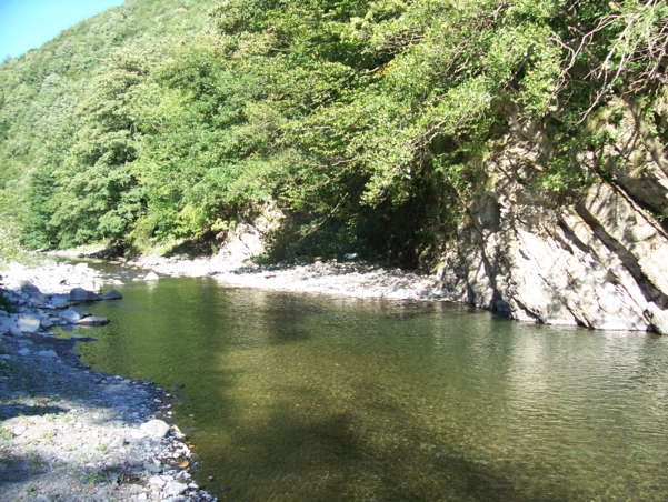  Image name: Fiume42.jpg 
 width: 601 pixel 
 height: 452 pixel 
 Size: 335817 bytes 
 Click to enlarge 